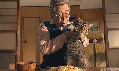 电影《猫与爷爷》解说文案