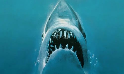 电影《大白鲨》解说文案